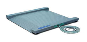 Весы платформенные электронные CAS Hercules R